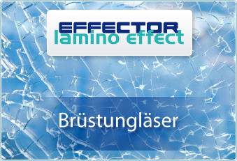 Fönster Glas 2